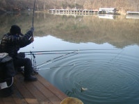 좋은 조황이 이어집니다. - 즐거운 낚시장 - 화도낚시공원 꺽대채비 좋은 조황이 이어집니다.