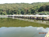 연휴의 마지막 날 - 즐거운 낚시장 - 화도낚시공원 꺽대채비 연휴의 마지막 날