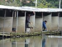 전 지역이 즐겁습니다. - 즐거운 낚시장 - 화도낚시공원 꺽대채비 전 지역이 즐겁습니다.