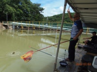 2일간 죽어라 치웠습니다. - 즐거운 낚시장 - 화도낚시공원 2일간 죽어라 치웠습니다.