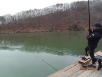 시작된 봄소식 - 즐거운 낚시장 - 화도낚시공원 시작된 봄소식