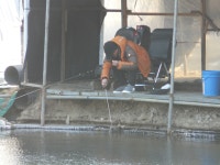 상류 화장실앞 우세 - 즐거운 낚시장 - 화도낚시공원 꺽대채비 상류 화장실앞 우세