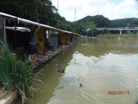야간 기온 영상 21도이하로 - 즐거운 낚시장 - 화도낚시공원 야간 기온 영상 21도이하로