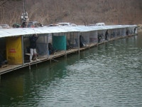 내일 붕어 300kg 정기방류 - 즐거운 낚시장 - 화도낚시공원 내일 붕어 300kg 정기방류