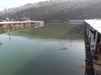 정점으로 향합니다. - 즐거운 낚시장 - 화도낚시공원 꺽대채비 정점으로 향합니다.