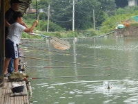 장맛비는 예측불허 - 즐거운 낚시장 - 화도낚시공원 장맛비는 예측불허