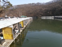 중하류권 회복 상류권 조금저조 - 즐거운 낚시장 - 화도낚시공원 중하류권 회복 상류권 조금저조