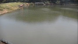 낚시하기 좋은 기후 - 빠른 소식/내 조행기 - 화도낚시공원 낚시하기 좋은 기후