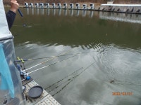 주간낚시 지겨워? 갑니다. - 즐거운 낚시장 - 화도낚시공원 꺽대채비 주간낚시 지겨워? 갑니다.