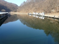 상류 화장실앞 우세 - 즐거운 낚시장 - 화도낚시공원 꺽대채비 상류 화장실앞 우세