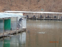 숨 죽이며 오는 봄입니다. - 즐거운 낚시장 - 화도낚시공원 숨 죽이며 오는 봄입니다.