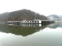 고기들이 크게 움직입니다. - 즐거운 낚시장 - 화도낚시공원 꺽대채비 고기들이 크게 움직입니다.