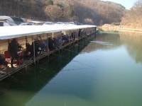 완전한 상류조황입니다. - 즐거운 낚시장 - 화도낚시공원 꺽대채비 완전한 상류조황입니다.