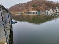 안 나오는 게 더 이상하다 - 즐거운 낚시장 - 화도낚시공원 안 나오는 게 더 이상하다