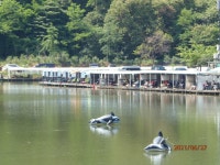 소나기가 한 낮의 더위를 식힙니다. - 즐거운 낚시장 - 화도낚시공원 소나기가 한 낮의 더위를 식힙니다.