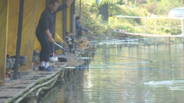 물안개가 자욱합니다. - 즐거운 낚시장 - 화도낚시공원 물안개가 자욱합니다.