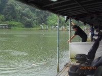 가을 비가 촉촉하게 내립니다 - 즐거운 낚시장 - 화도낚시공원 가을 비가 촉촉하게 내립니다