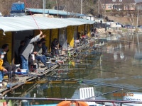 조황은 이렇게 더 좋아집니다. - 즐거운 낚시장 - 화도낚시공원 조황은 이렇게 더 좋아집니다.