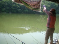 조황은 안정세 유지 - 즐거운 낚시장 - 화도낚시공원 조황은 안정세 유지