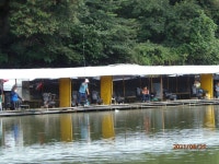 가을이 보이는 듯 합니다. - 즐거운 낚시장 - 화도낚시공원 가을이 보이는 듯 합니다.