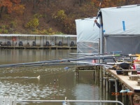 해 없어 안정된 상태 부부나들이 - 즐거운 낚시장 - 화도낚시공원 해 없어 안정된 상태 부부나들이