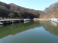 주 야 낚시할 만 합니다. - 즐거운 낚시장 - 화도낚시공원 꺽대채비 주 야 낚시할 만 합니다.
