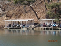 오후의 바램이 바람 맞았습니다. - 즐거운 낚시장 - 화도낚시공원 꺽대채비 오후의 바램이 바람 맞았습니다.