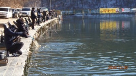 송어장은 여전히 즐겁습니다. - 멋진 송어장소식(10월~3월) - 화도낚시공원 꺽대채비 송어장은 여전히 즐겁습니다.