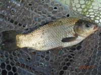 즐거운 봄 나들이 - 즐거운 낚시장 - 화도낚시공원 즐거운 봄 나들이