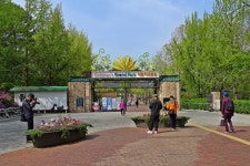 어린이대공원의 봄 - 우리들의 이야기 - 거향버드래 ﻿어린이대공원의 봄