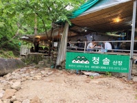 코로나19 탈출에는 #청솔산장(청솔집)이 최고! - 카페 앨범 - 북한산 청솔집 코로나19 탈출에는 #청솔산장(청솔집)이 최고!