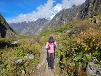 1001랑탕-강진곰파2 - 25년Naya Kanga 5,844m - 광주 G1클라이밍 송정 1001랑탕-강진곰파2