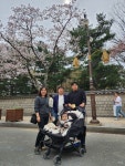 황리단길ㅡ2024 봄♡♡ - 가족 이야기 - 영&주 네~~ 황리단길ㅡ2024 봄♡♡