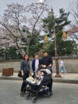 황리단길ㅡ2024 봄♡♡ - 가족 이야기 - 영&주 네~~ 황리단길ㅡ2024 봄♡♡
