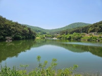 동서트레일 6구간(율목리마을~삼웅2리) - 3/28(토)동서트레일6구간(율목리마을~삼웅2리) - 가보기 산악회 동서트레일 6구간(율목리마을~삼웅2리)