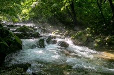 8/16(토) 가평 석룡산&조무락골 계곡 - 8/16(토) 가평 석룡산&조무락골 계곡 - 가보기 산악회 8/16(토) 가평 석룡산&조무락골 계곡