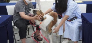 대동병원과 동물매개치료 시작 - 재단소식 - 삽사리야 대동병원과 동물매개치료 시작