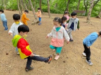 🌲솔방울로 놀아요❤️ - ★별빛가람반 - 삼성숲유치원 🌲솔방울로 놀아요❤️