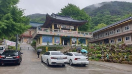 24.05.05일 삼랑진 여여정사 우중여행 - ★ 개 인 사 진 - 팔등로 산방 24.05.05일 삼랑진 여여정사 우중여행