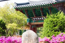 2026년04월25일 평택성동신협산악회 산행안내 [대구광역시 달성군] 비슬산 - 정기산행신청(4주차 토) - 평택성동신협산악회 평택성동신협산악회