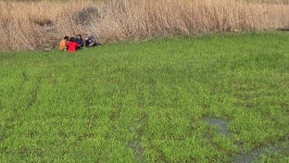 강서낙동강변30리벚꽃길 ( 4월 5일) - 카페 앨범 - 나 홀로 산행 산악회 강서낙동강변30리벚꽃길 ( 4월 5일)