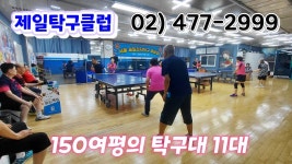 서울 제일탁구클럽 탐방기 2026.6.13(토) - 탁구장/교실/센타 소식 - 광진탁구스포츠 서울 제일탁구클럽 탐방기 2026.6.13(토)