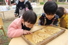 4월 2주 (견학) 허니순 꿀벌 농장에 도착했어요. - 4세 초록별반 - 국공립 청라푸른어린이집 4월 2주 (견학) 허니순 꿀벌 농장에 도착했어요.