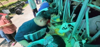 치즈만들기 체험 젖소농장견학 - 발달장애인주간활동센터 - 사단법인 철원군발달장애인협회 치즈만들기 체험 젖소농장견학