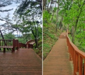 181차 정기산행 안내[시산제] 홍성 봉수산 - ☞정기산행안내 - 안산대한산악회 안산대한산악회
