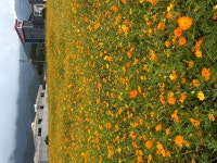 3316 박준영 디카시 - 디카시 쓰기(3-3) - 해봄의 창 3316 박준영 디카시