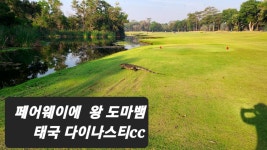 16박 18일의 다이너스티나들이 - 방문후기 - 정세진의 SJ 골프클럽 16박 18일의 다이너스티나들이