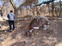 2025년 희년 한티순교성지 순례 (20250329)-레지오 - 나눔과... 모든성인의 모후 pr 2025년 희년 한티순교성지 순례 (20250329)-레지오