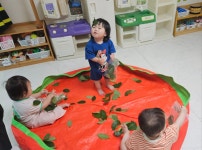 새싹반- 미술:손가락 도장으로 나무를 꾸며요/ 신체:나뭇잎을 모아요... 새싹반- 미술:손가락 도장으로 나무를 꾸며요/ 신체:나뭇잎을 모아요