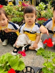 🌸5/29 지역사회연계-꽃집방문🌸 - ♡꽃잎반♡ - 대구 큰사랑어린이집 🌸5/29 지역사회연계-꽃집방문🌸